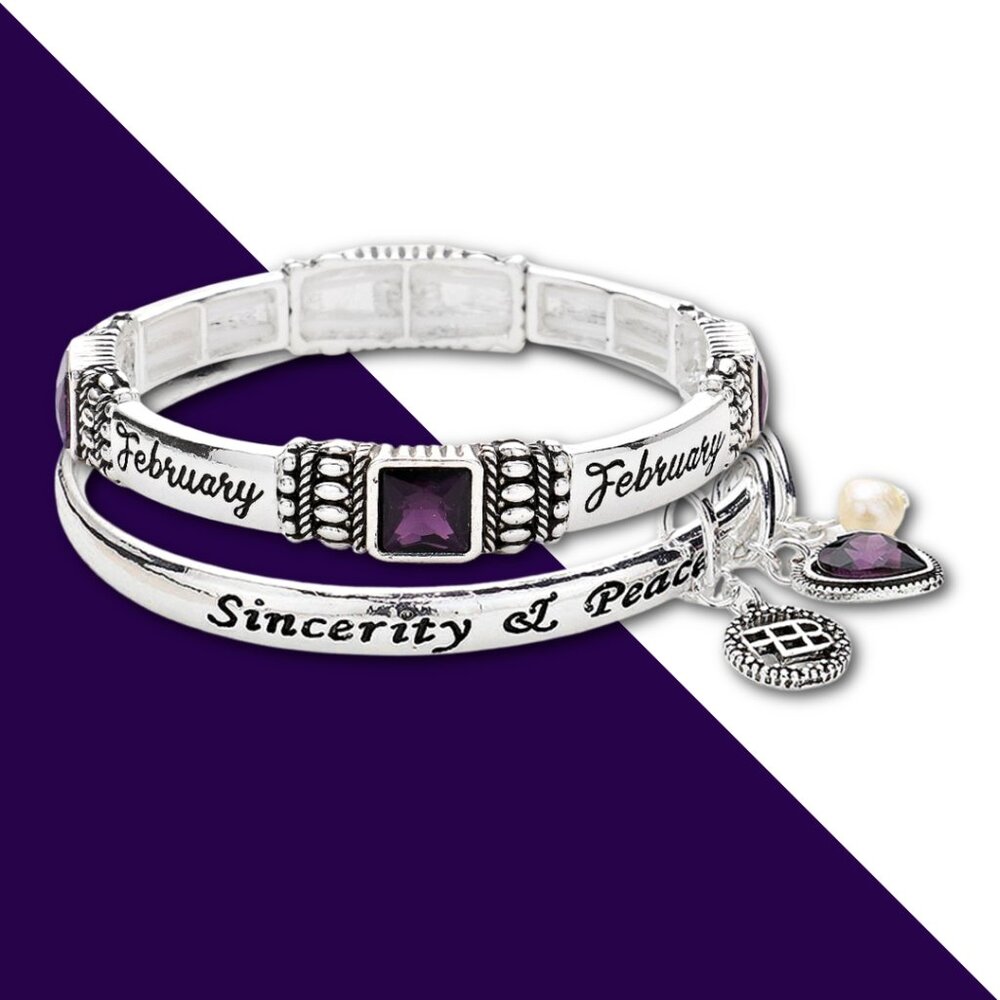 February Birthstone Sterling Silver Plated Bangle Stretch Bracelets Amethyst NEW